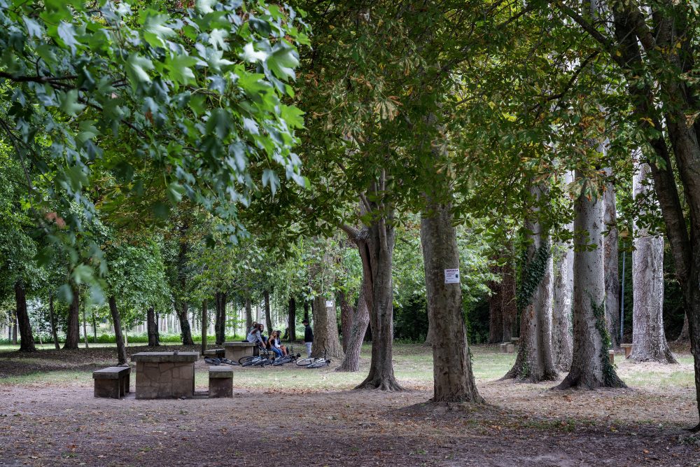 En este momento estás viendo Fuente Pobes